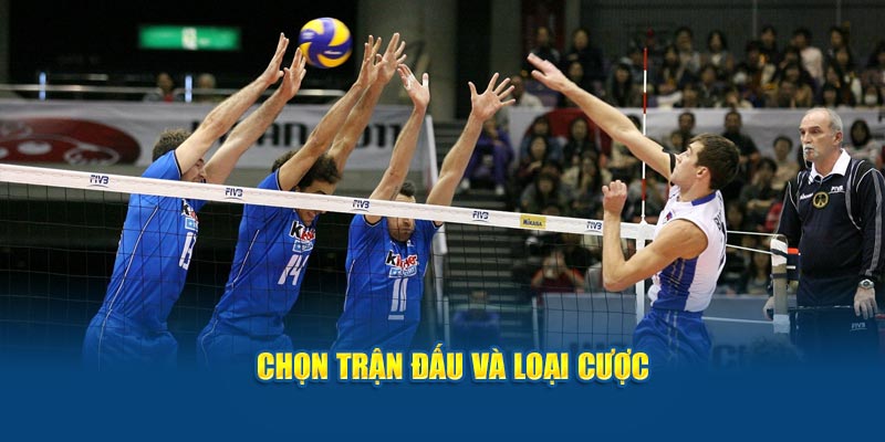 chon-tran-dau-va-loai-cuoc