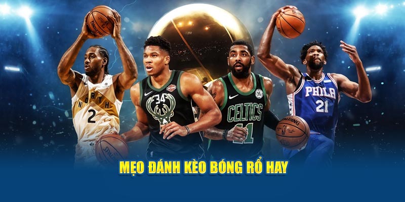 meo-danh-keo-bong-ro-hay