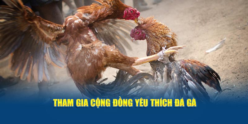 tham-gia-cong-dong-yeu-thich-da-ga