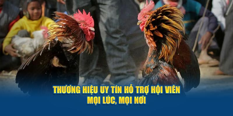 thuong-hieu-uy-tin-ho-tro-hoi-vien-moi-luc-moi-noi