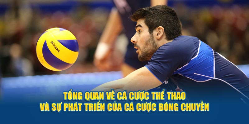 tong-quan-ve-ca-cuoc-the-thao-va-su-phat-trien-cua-ca-cuoc-bong-chuyen