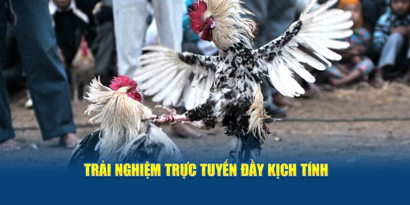 trai-nghiem-truc-tuyen-day-kich-tinh